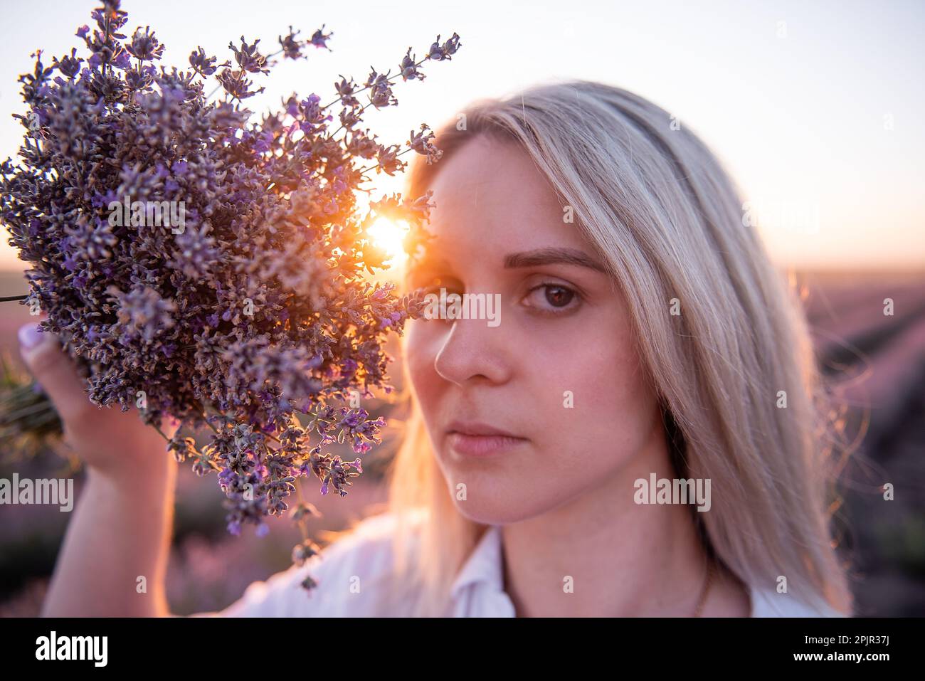 Nahaufnahme einer jungen Frau mit einem Strauß lila Lavendel vor dem Gesicht. Blondes Jahrtausendmädchen mit sauberer Haut ohne Make-up in Su-Strahlen Stockfoto
