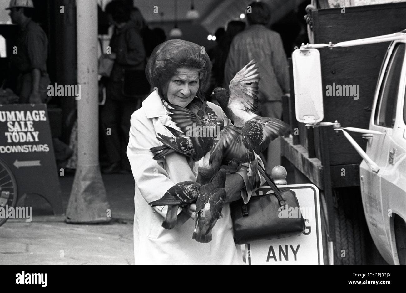 Ältere Frau füttert Tauben auf dem Pike Place Market Stockfoto