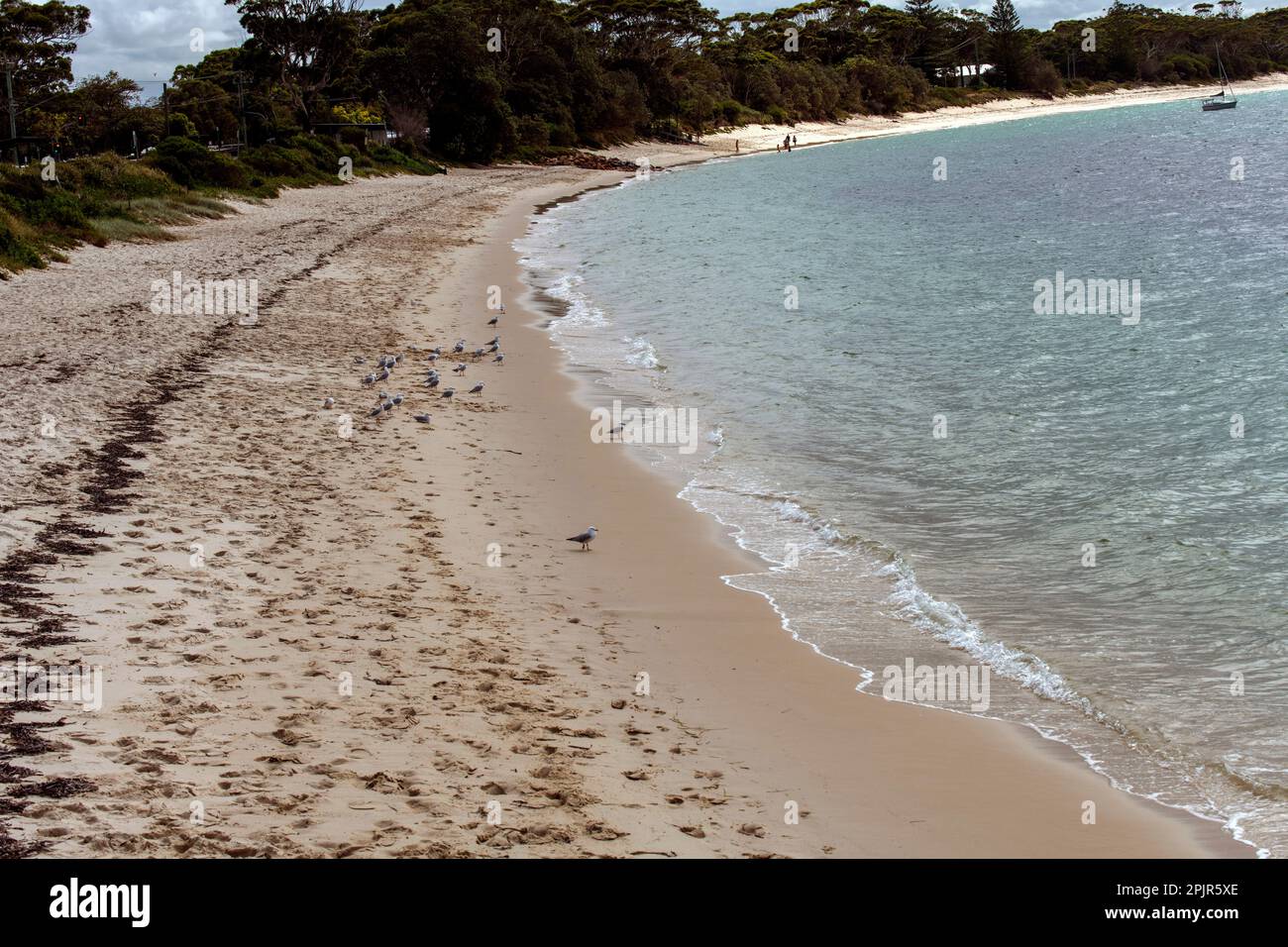 Shoal Bay Beach, Port Stephens, Mid North Coast, New South Wales, Australien. Shoal Bay ist der östlichste Vorort der lokalen Gouverneure von Port Stephens Stockfoto