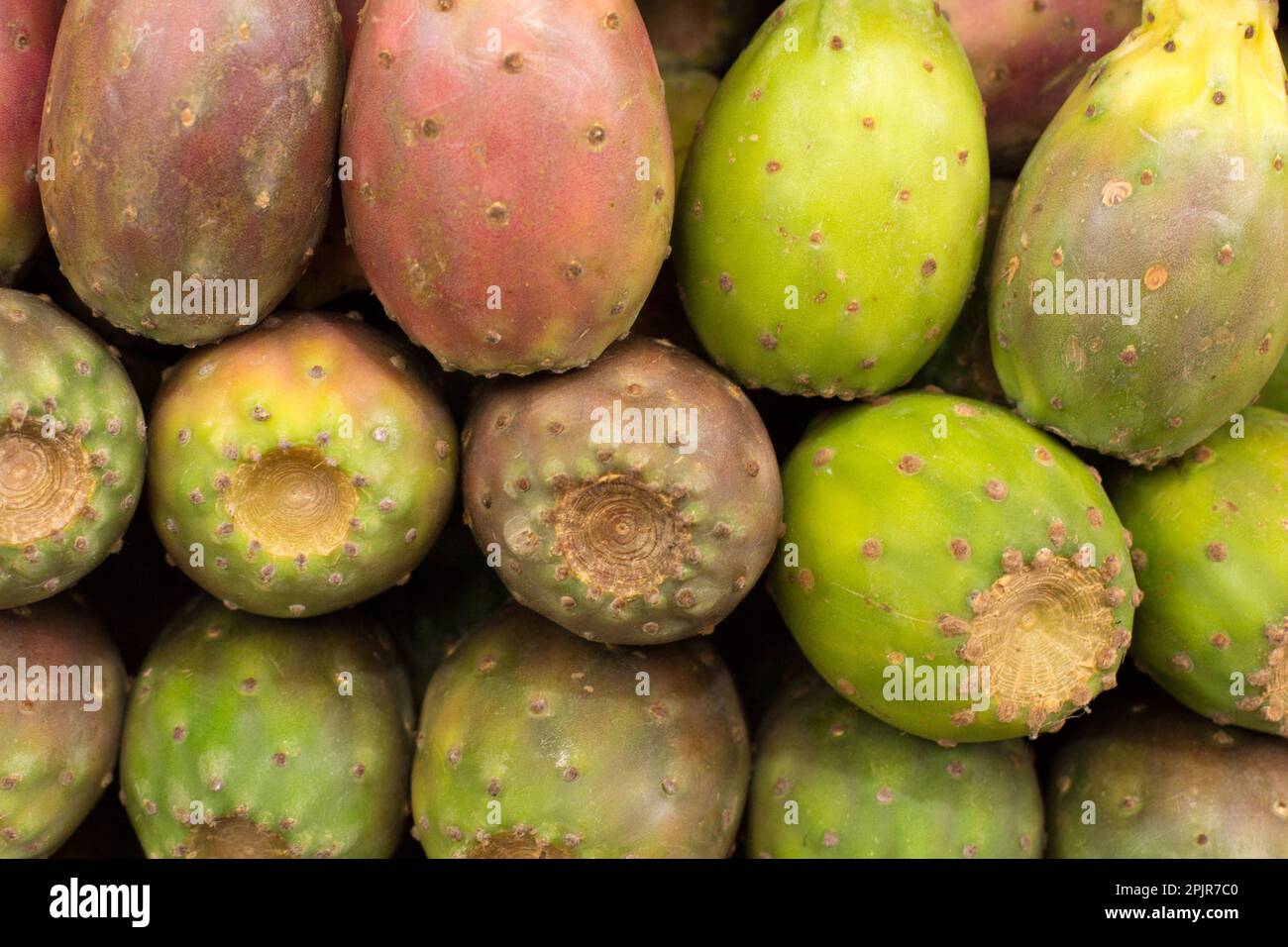 Kaktusgrner Fruchtthunfisch Obst und Gemse aus Peru Stockfotografie -  Alamy