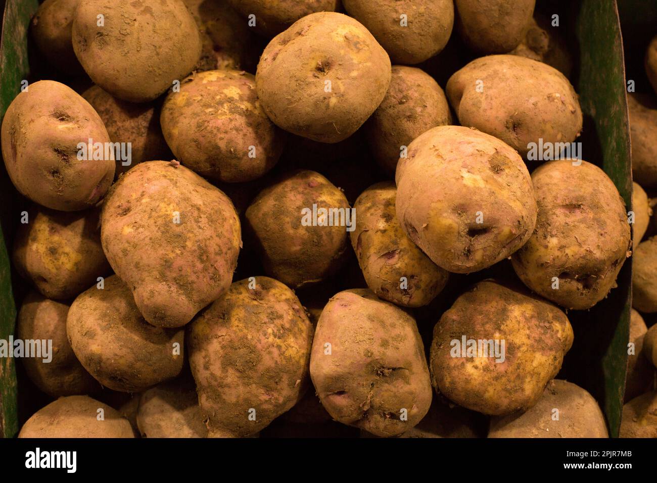 Verschiedene Sorten peruanischer Kartoffeln, Obst und Gemüse aus Peru Stockfoto
