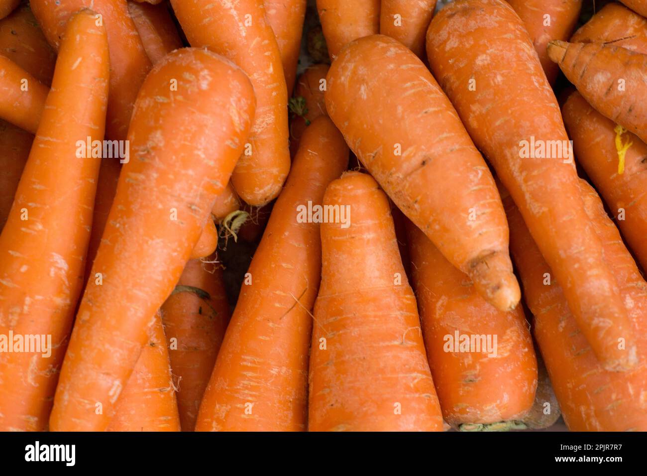 Orangenkarotten, Obst und Gemüse aus Peru Stockfoto