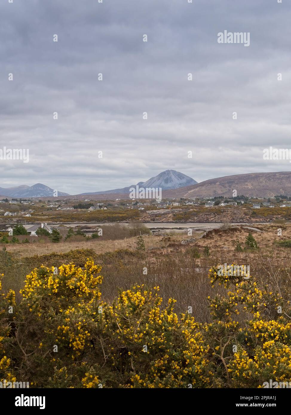 Ländlicher Blick mit Feldern, Blumen, Häusern und Mount Errigal in der Grafschaft Donegal, Republik Irland. Stockfoto
