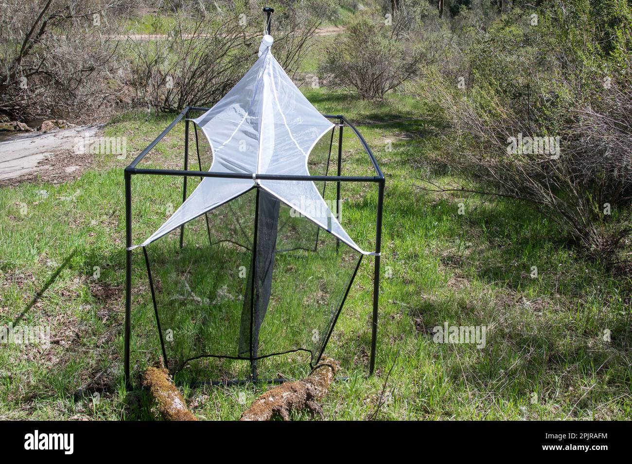 Eine Malaisfalle, eine Art Zeltfalle zur Sammlung fliegender Insekten durch Entomologen. Das ist in Oak Savannah in Kalifornien. Stockfoto