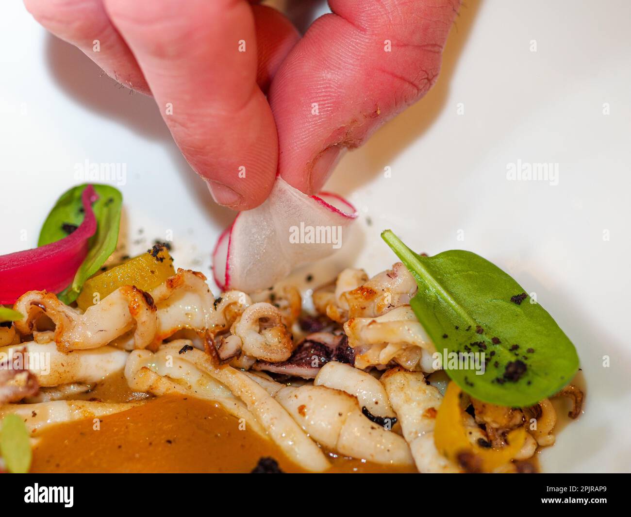 Koch Hand-Topf gekochte Flambe atlantischer Tintenfisch mit Kartoffelsauce Creme Reduktion, Rettich und aromatische Kräuter, Gourmet-trendy modern Stockfoto