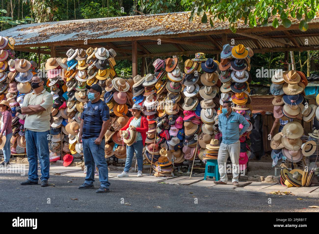 Panama Hüte im Verkauf in Palenque, Chiapas, Yucatán, Mexiko Stockfoto