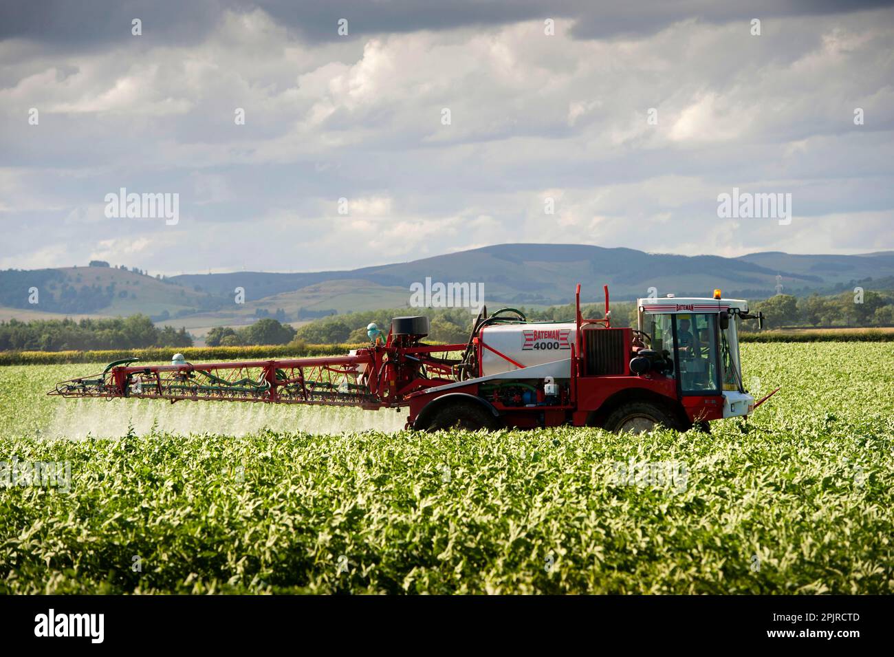 Besprühen einer Kartoffelernte (Solanum tuberosum) mit dem selbstfahrenden Sprühgerät Bateman 4000, Schottland, Vereinigtes Königreich Stockfoto