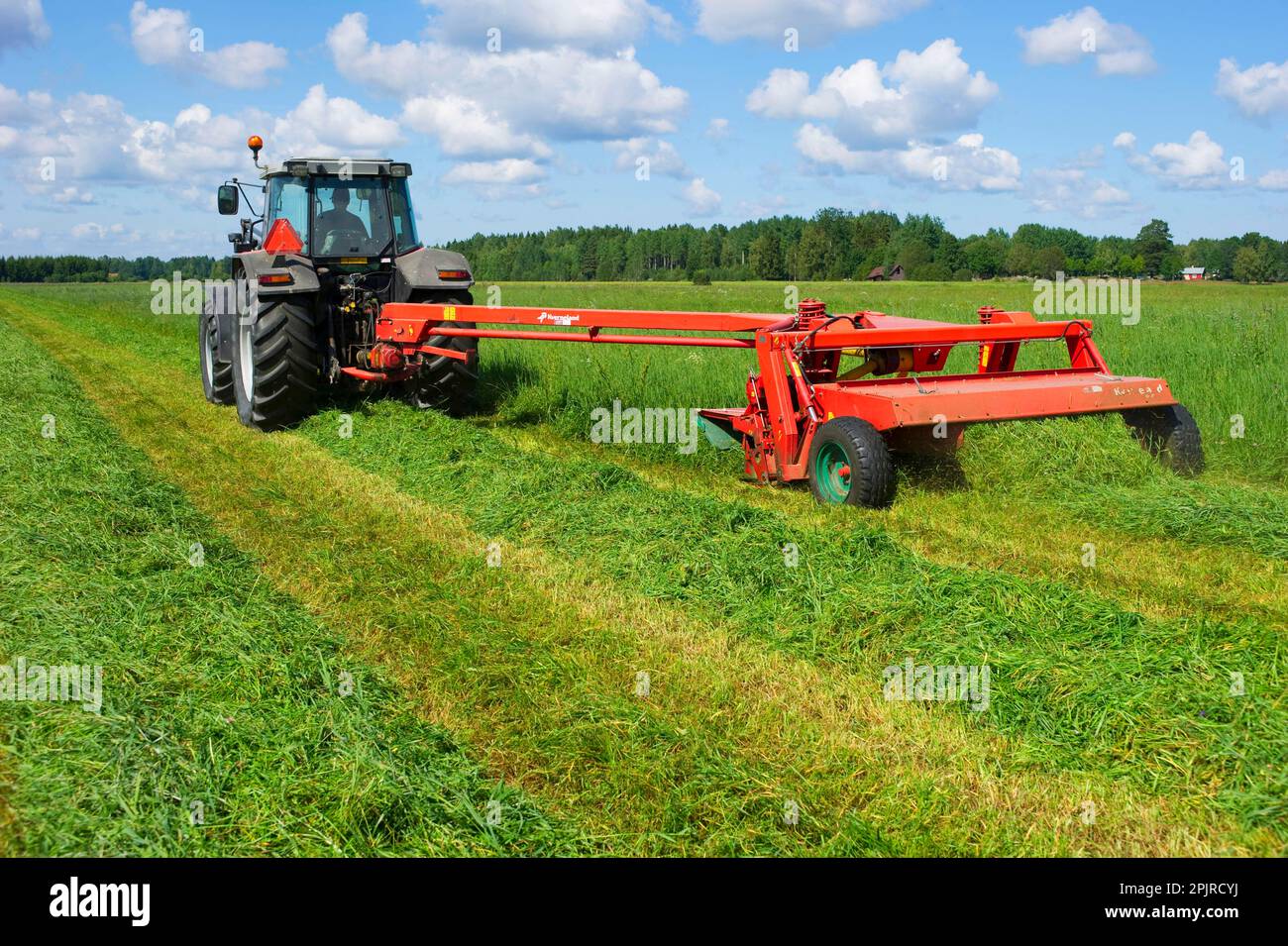Traktor mit Mäher, Mähen von Gras für Silage, Schweden Stockfoto