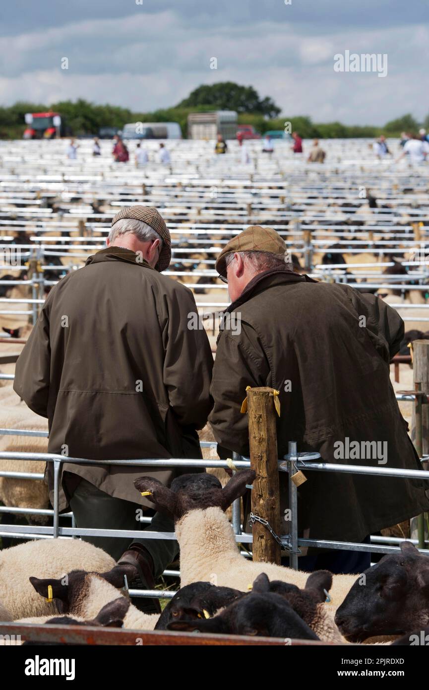 Schafzucht, zwei ältere Bauern, die sich unter Buchten unterhalten, Thame Sheep Fair, Oxfordshire, England, Vereinigtes Königreich Stockfoto