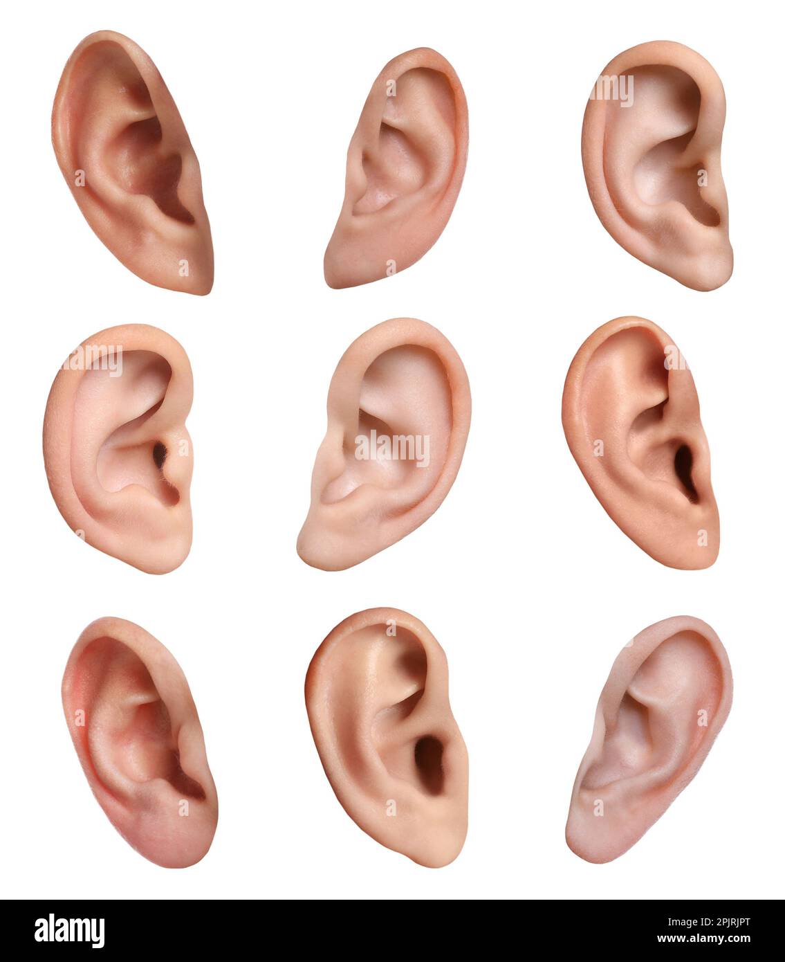 Menschliche Ohren auf weißem Hintergrund, Collage. Organ des Hörens und des Gleichgewichts Stockfoto