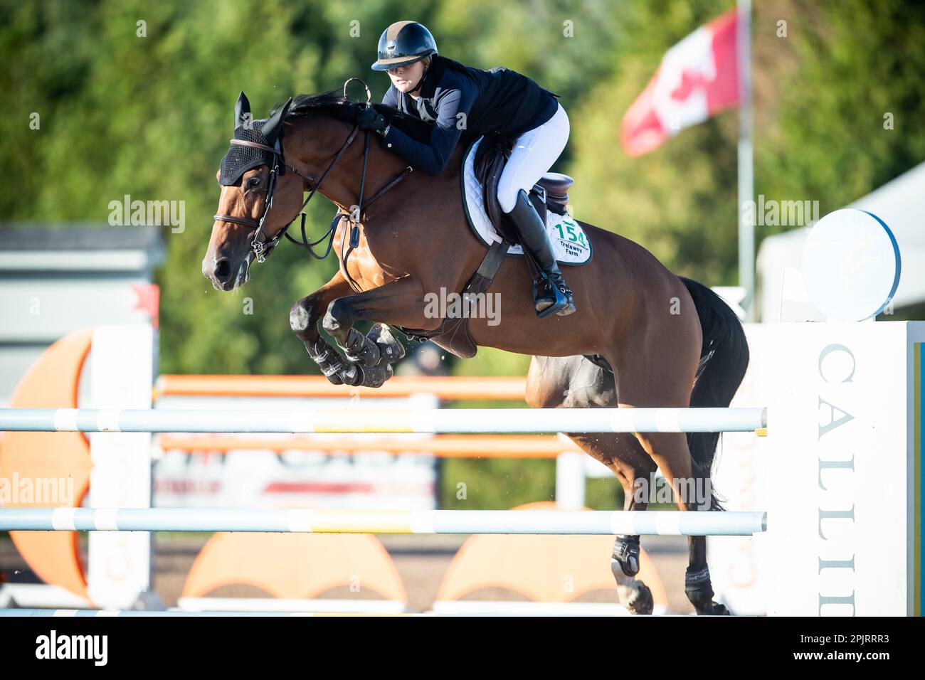 Emma Marlow aus den Vereinigten Staaten tritt 2021 bei einem Major League Show Jumping Event im Caledon Equestrian Park an. Stockfoto