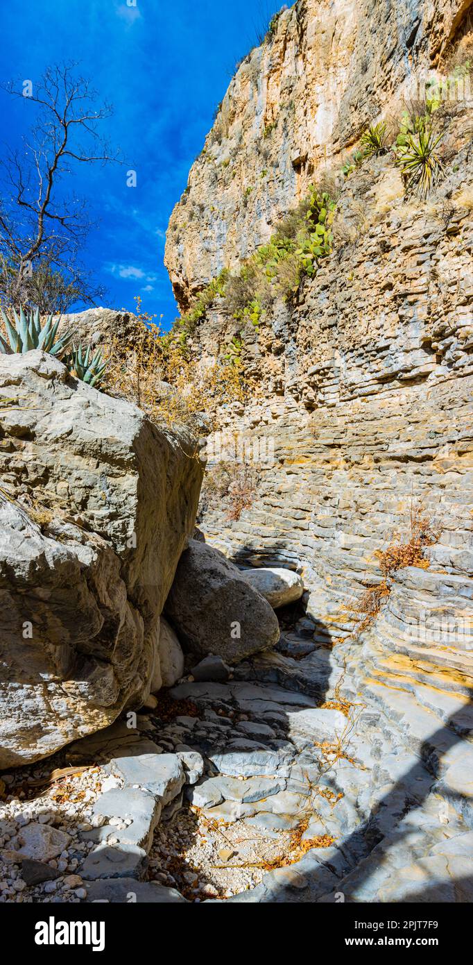 Der Devil's Hall Trail im Pine Springs Canyon, Guadalupe Mountains-Nationalpark, Texas, USA, führt durch Felsbrocken Stockfoto