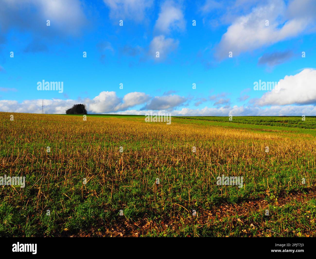 Stadtausflug, Dinant, Ardennen, Belgien Stockfoto