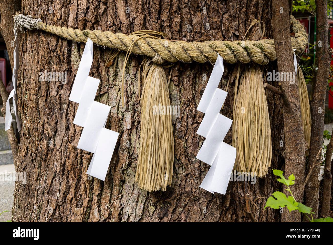 Oze national park, Katashina, Gunma, Japan, East Asia, Asia Stockfoto