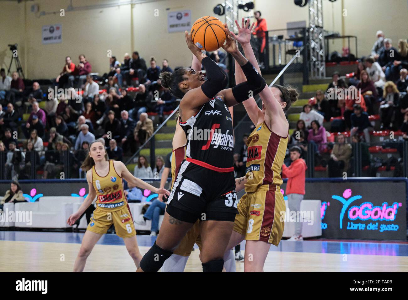 Campobasso, Italien. 31. März 2023. Cheyenne Sernina Parker von Virtus Segafredo Bologna (L) und Antonia Delaere von Umana Reyer Venezia (R) in Aktion während des Halbfinales der letzten acht Frauen des italienischen Pokals 2023 zwischen Virtus Segafredo Bologna und Umana Reyer Venezia in der La Molisana Arena. Umana Reyer Venezia Team schlug Virtus Segafredo Bologna Team mit einem Ergebnis von 63:78. Kredit: SOPA Images Limited/Alamy Live News Stockfoto