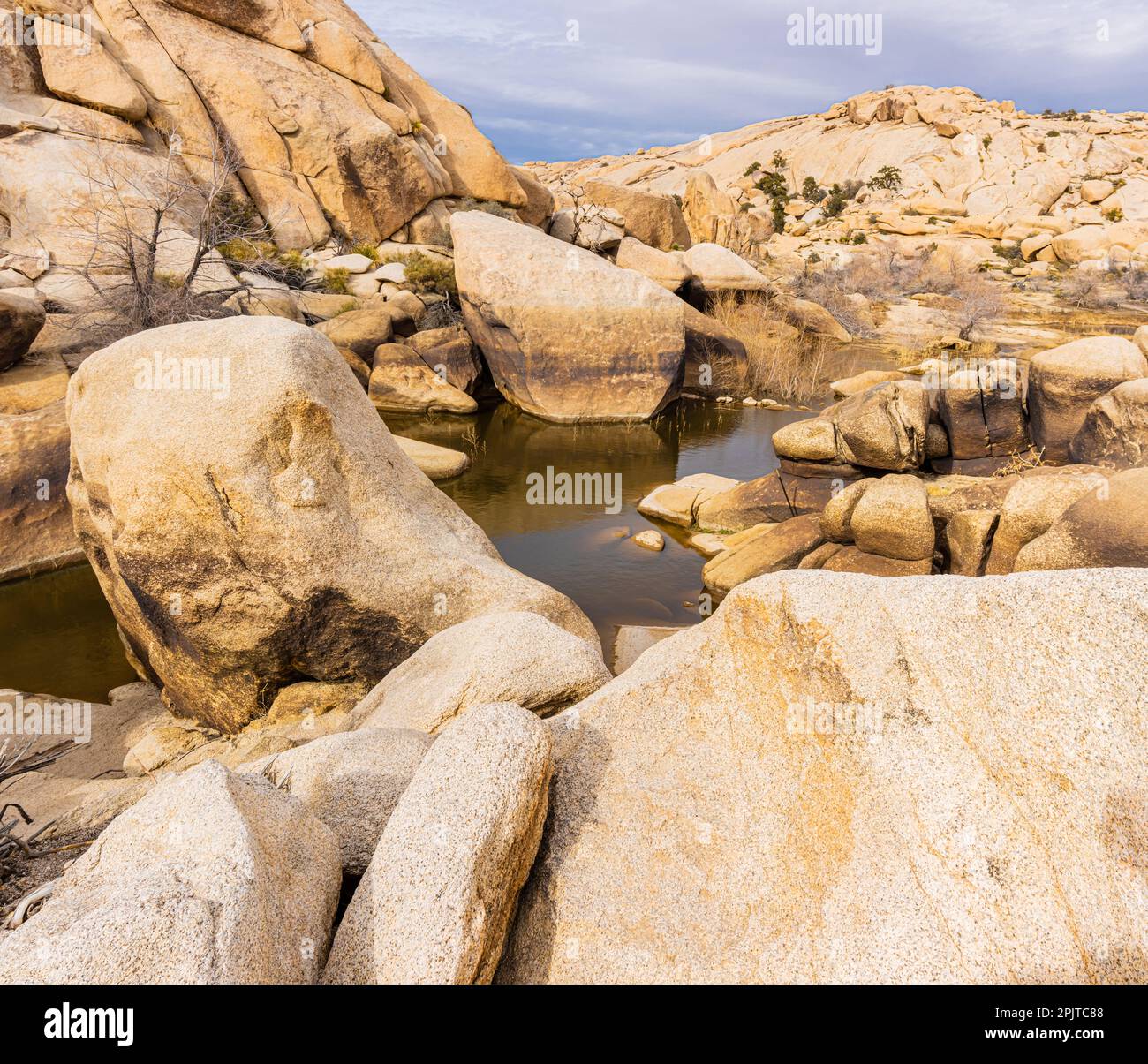 Historischer Barker Dam und Monzogranite Rock Formations auf dem Barker Dam Trail, Joshua Tree National Park, Kalifornien, USA Stockfoto