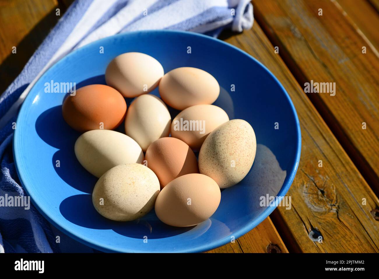 Teller mit verschiedenen Eiern und Servietten auf einem Holztisch Stockfoto
