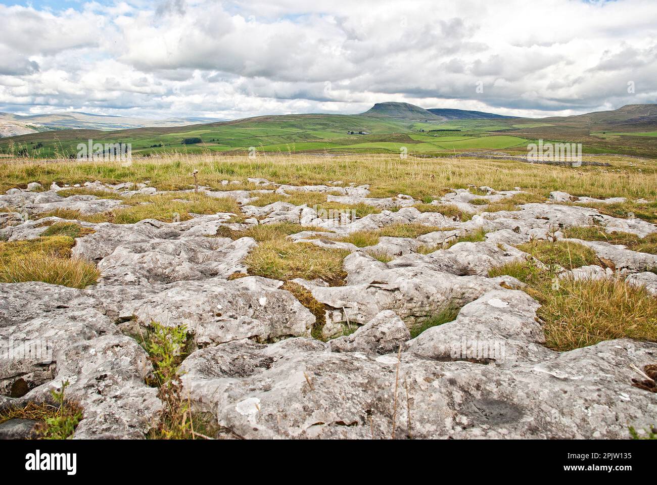 Kalkstein-Vordergrund mit Pen-y-gent dahinter, Yorkshire Dales National Park, North Yorkshire Stockfoto