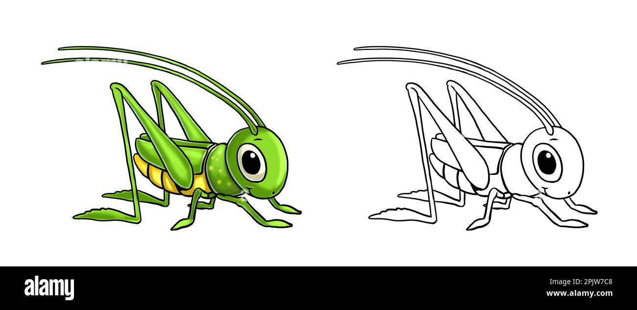 Süßer, lustiger Grashüpfer zum Ausmalen. Vorlage für ein Malbuch mit lustigen Tieren. Malseite für Kinder. Stockfoto