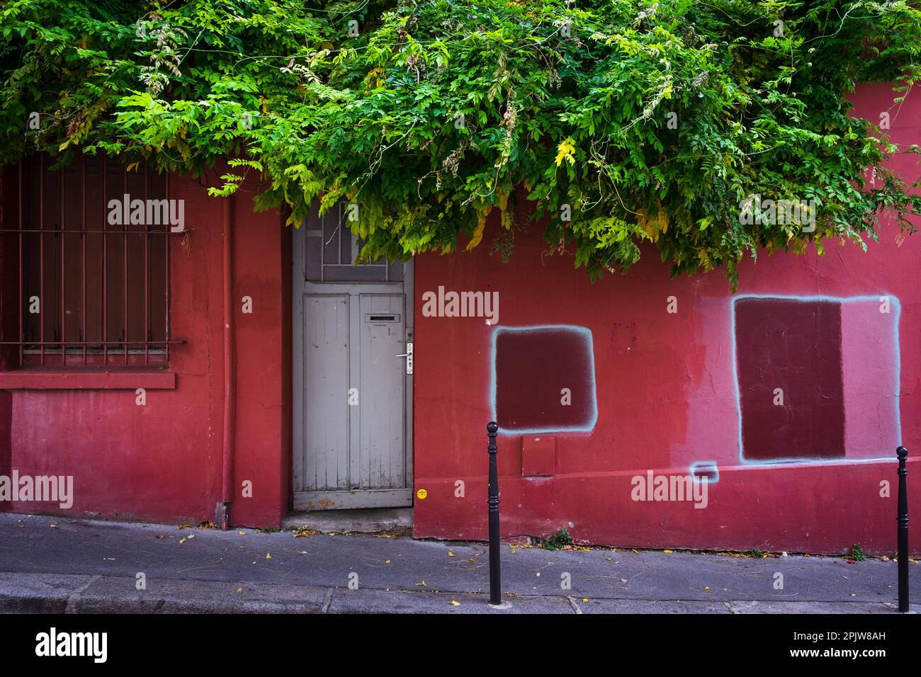 Paris, Frankreich, Okt. 2022, Blick auf einige Wisteria, die über einer roten Mauer im Menilmontant-Viertel hängen Stockfoto