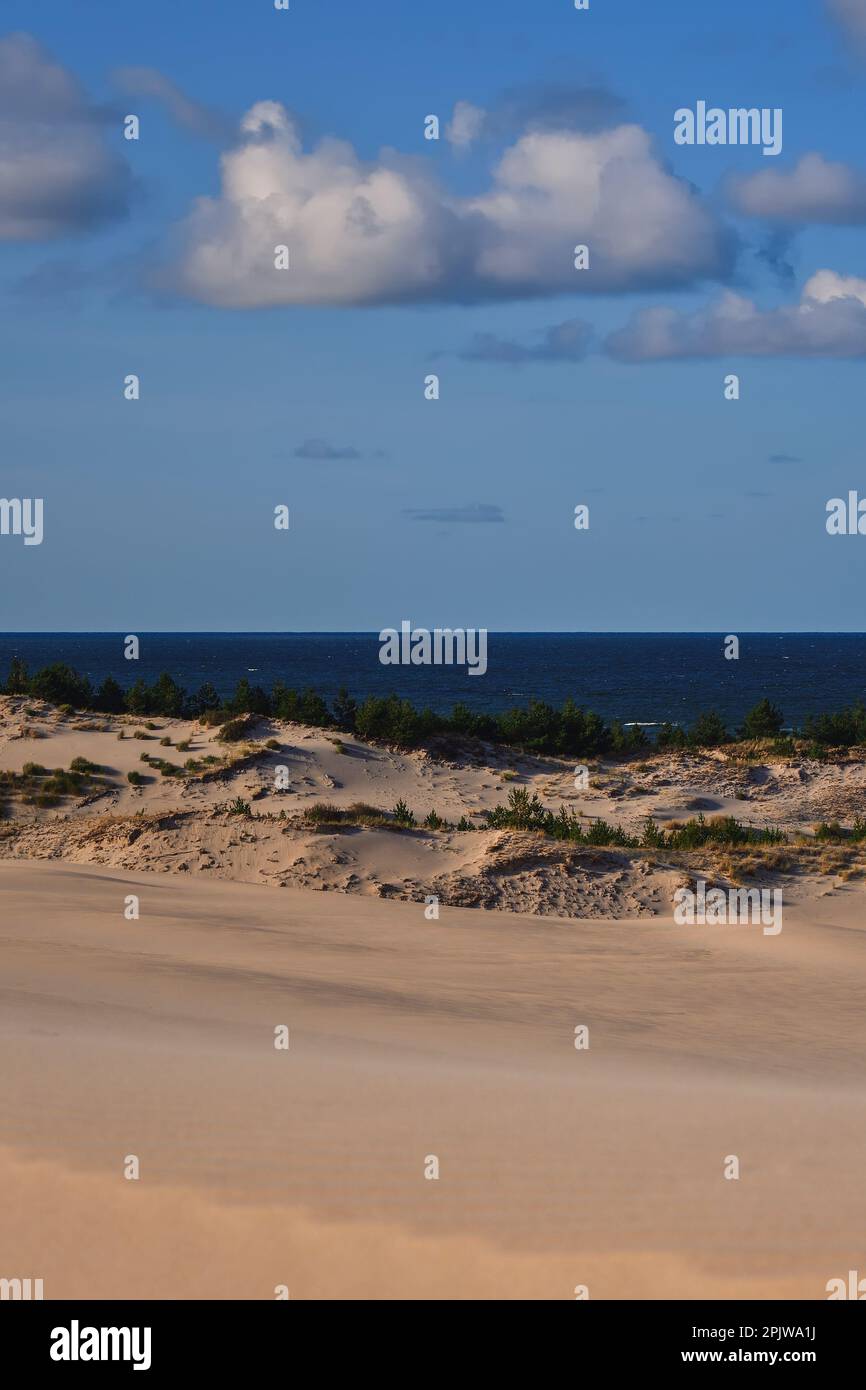 Wunderschöne Urlaubslandschaft am Meer. Bewegliche Dünen in der Wüste im Slowinski-Nationalpark in Leba, Polen. Stockfoto