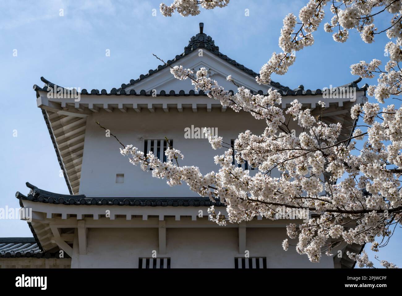 Die wunderschöne Frühlingslandschaft rund um Nagaoka Castle, Niigata, Japan Stockfoto