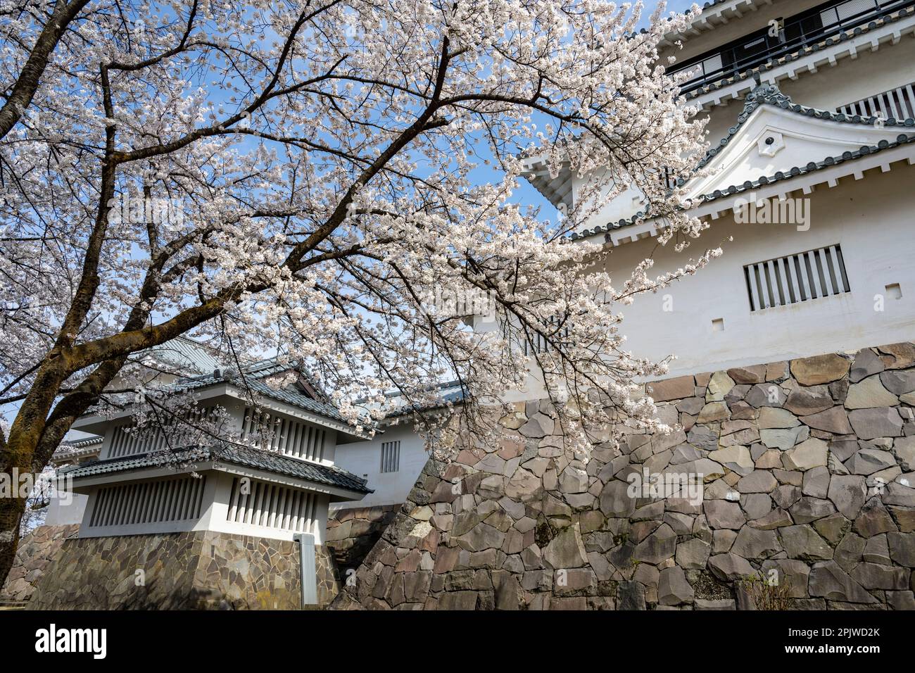 Die wunderschöne Frühlingslandschaft rund um Nagaoka Castle, Niigata, Japan Stockfoto