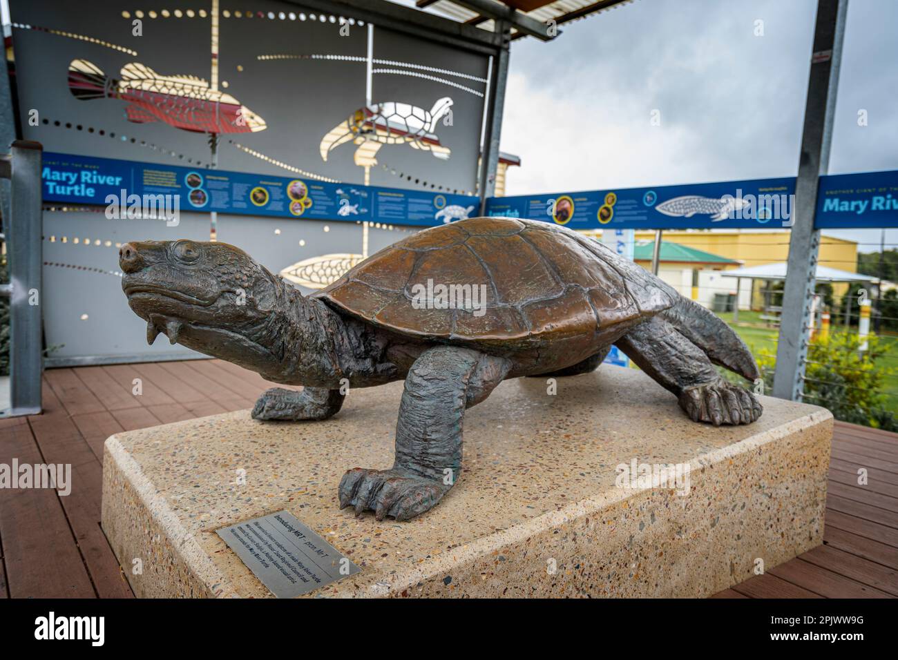 Skulptur der vom Aussterben bedrohten Mary River Turtle, Tiaro, Queensland Australien Stockfoto