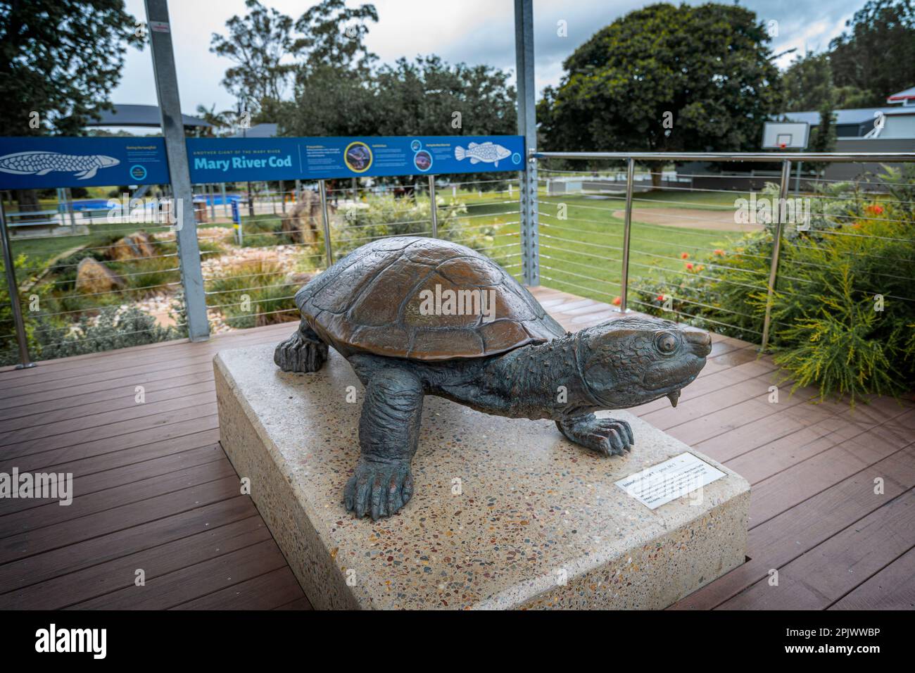 Skulptur der vom Aussterben bedrohten Mary River Turtle, Tiaro, Queensland Australien Stockfoto