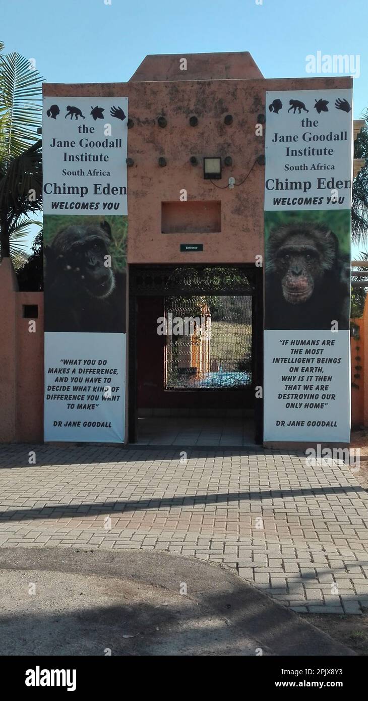 Das Schimpansen-Rehabilitationszentrum Jane Goodall Institute Südafrika, Nelspruit, Südafrika, Afrika Stockfoto