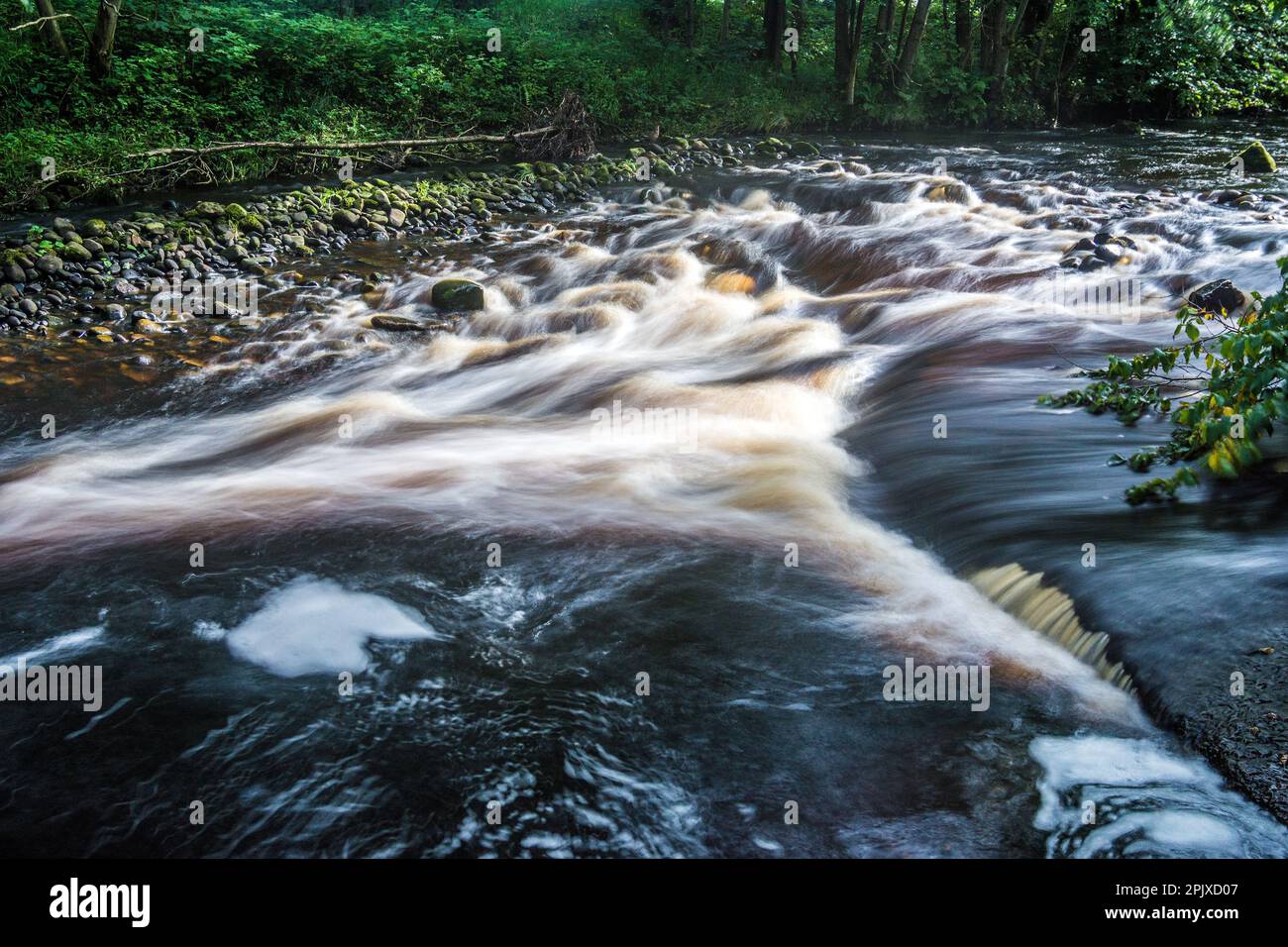 Der schnell fließende Fluss Hodder an der Dunsop Bridge. Stockfoto
