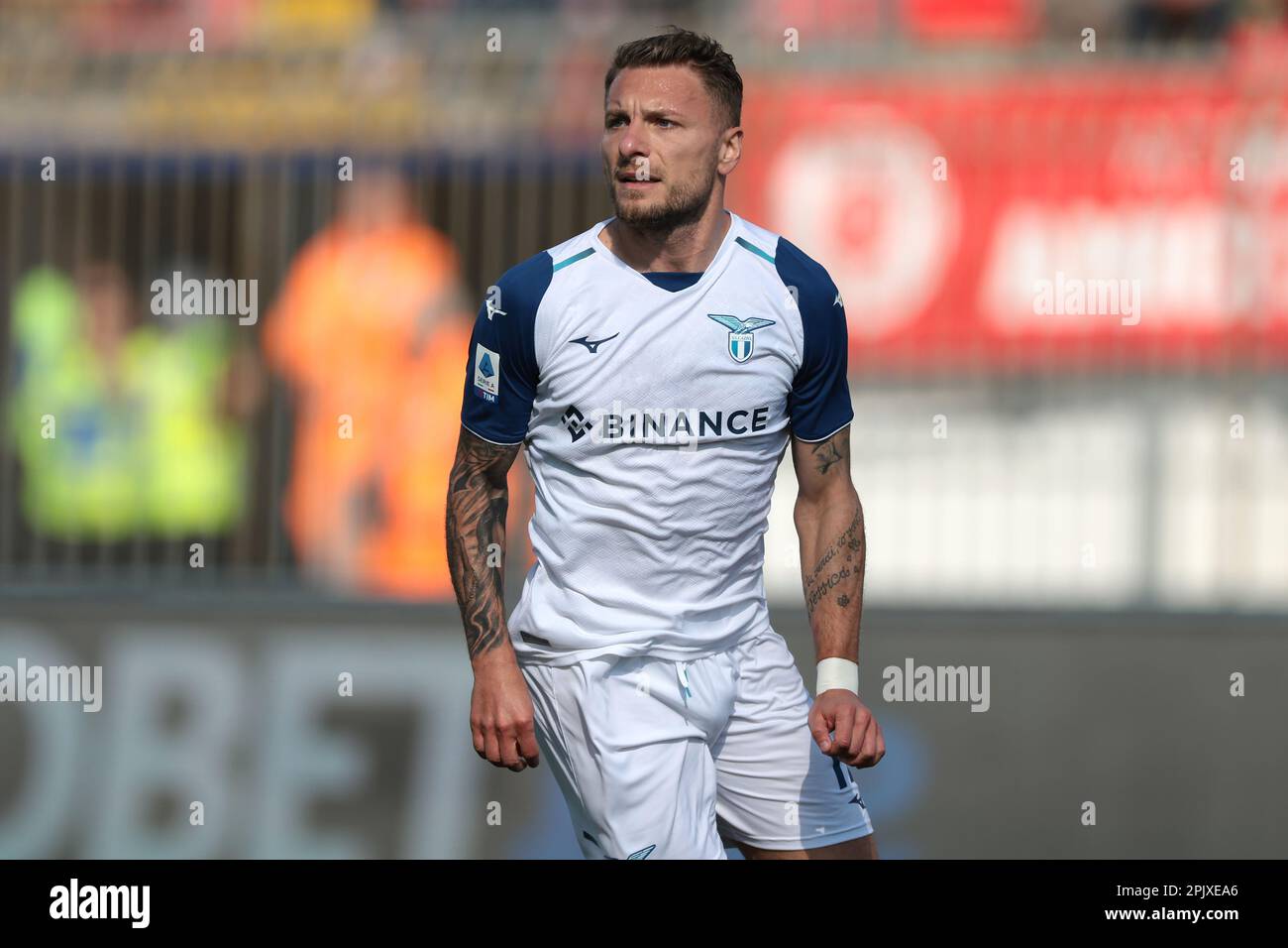 Monza, Italien, 2. April 2023. Ciro Immobil der SS Lazio sieht während des Spiels der Serie A im Stadio Brianteo, Monza, zu. Der Bildausdruck sollte lauten: Jonathan Moscrop/Sportimage Stockfoto