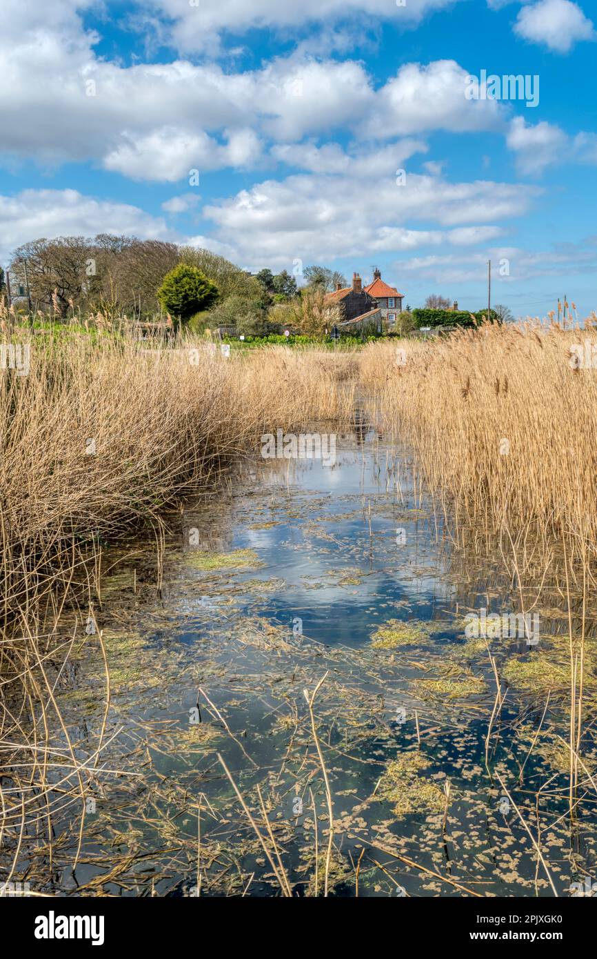 Cley Marshes Naturschutzgebiet des Norfolk Wildlife Trust an der Nordnorfolkküste. Stockfoto