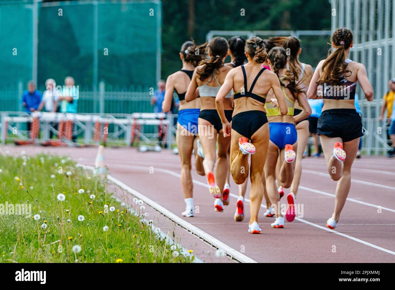Läuferinnen in der hinteren Gruppe, die Mittelstreckenrennen, Sportmeisterschaften im Stadion, Joggingstrecken für Frauen absolvieren Stockfoto