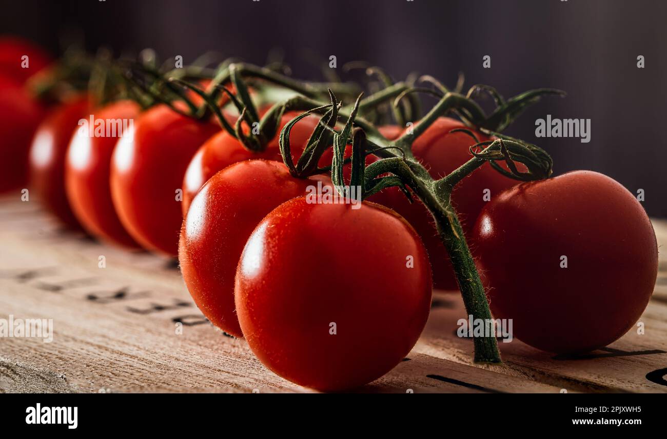 Rote gereifte Tomaten auf der Rebe. Makroaufnahme. Stockfoto