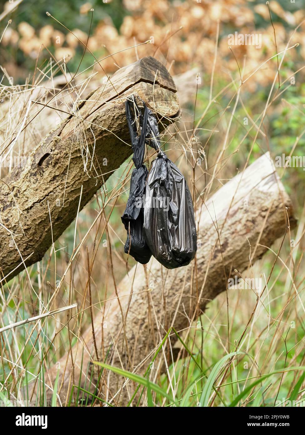 Eine unordentliche Szene mit weggeworfenen Plastikhunden-Kacksäcken und Fäkalien in einer Natur- und Wildtierumgebung, ohne dass Menschen anwesend sind. Stockfoto