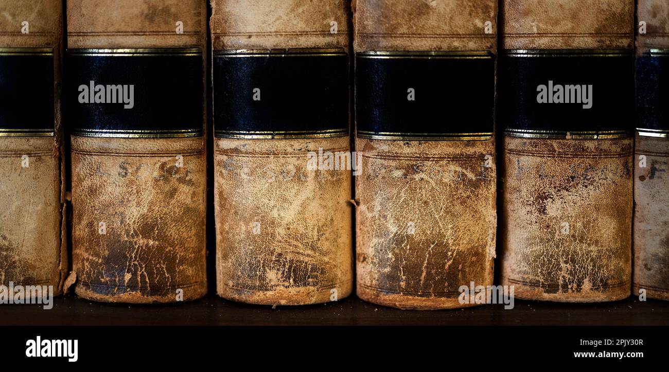 Alte Ledergesetzbücher oder Gesetzbücher auf dem Regal gestapelt Stockfoto