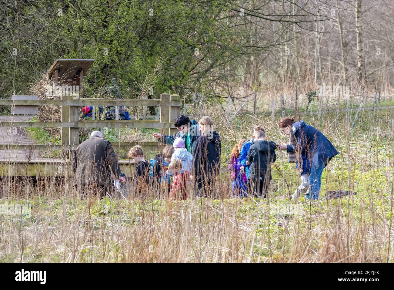 Gruppe von Kindern mit Erwachsenen, die beim Tauchen im Gallows Hill Nature Reserve, Otley, West Yorkshire, England, Großbritannien etwas über die Tierwelt erfahren Stockfoto