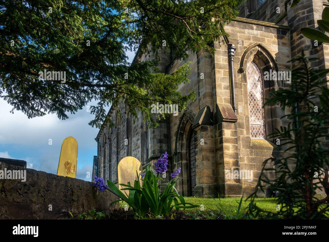 Blaue Hyazinthen in Blüten auf dem Friedhof der St. Mary's Parish Church in Burley-in-Wharfedale, West Yorkshire, England, Großbritannien Stockfoto