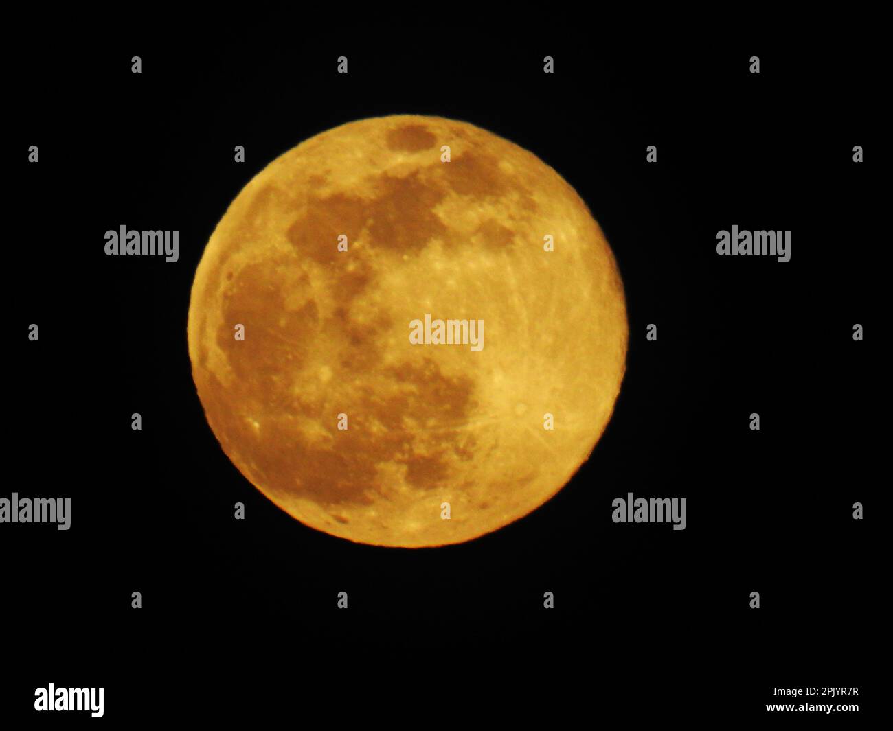 Aufsteigender Vollmond im Februar, der Schneemond, auf schwarzem Hintergrund mit etwas Platz für Kopie -01 Stockfoto