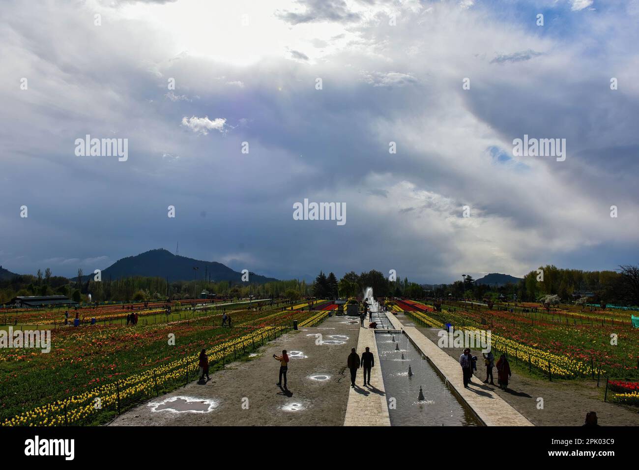 Srinagar, Indien. 04. April 2023. An einem bewölkten Frühlingstag erkunden Besucher den größten Tulpengarten Asiens. Trotz des schlechten Wetters strömen Touristen in den berühmten Tulpengarten in Srinagar. Nach offiziellen Angaben haben mehr als 100.000 Touristen den Garten in den ersten zehn Tagen nach seiner Eröffnung besucht. 1,6 Millionen Tulpen blühen im weltweit größten Garten am Ufer des Dal-Sees. (Foto: Saqib Majeed/SOPA Images/Sipa USA) Guthaben: SIPA US/Alamy Live News Stockfoto