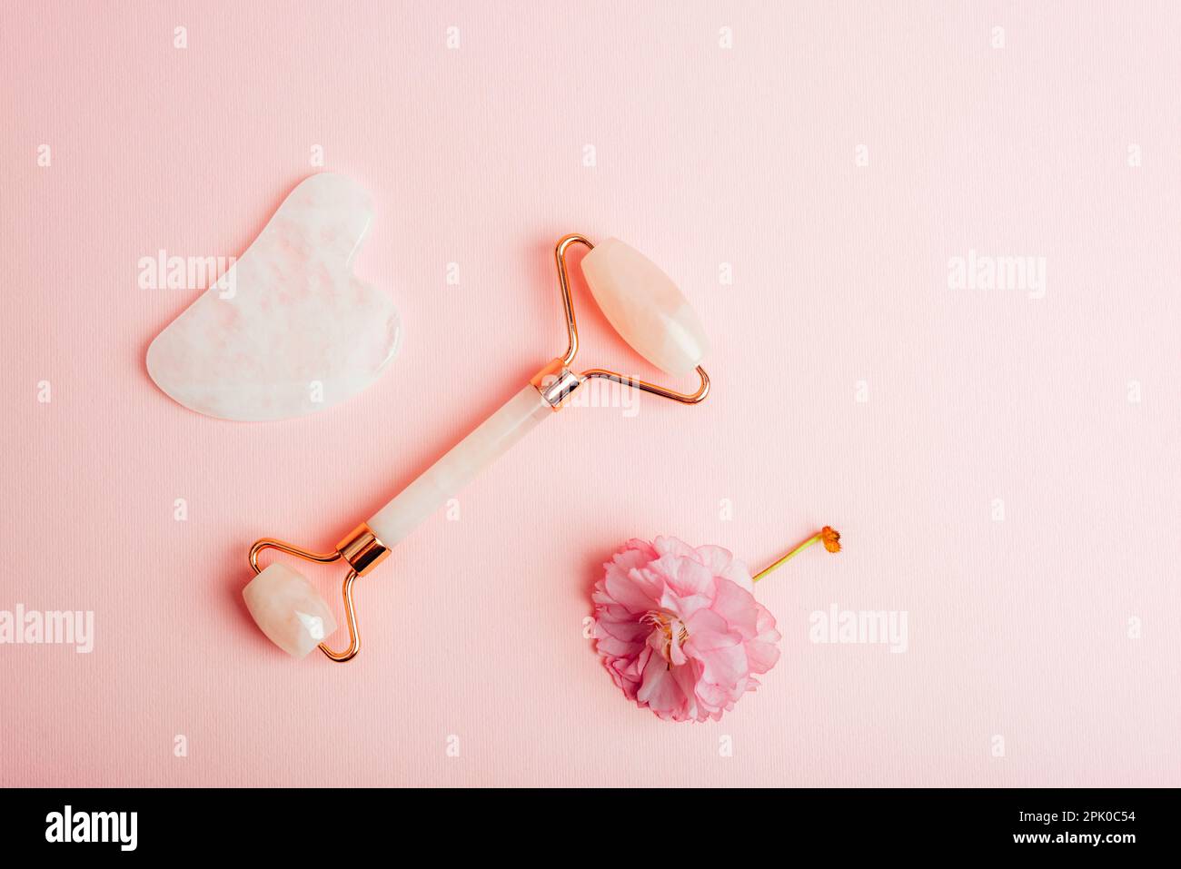 Gesichtsrolle, Gua-Sha-Stein und rosafarbene Kirschblüte auf pinkfarbenem Hintergrund. Hautpflege, Schönheitsbehandlungskonzept. Draufsicht, flach liegend, Kopierbereich. Stockfoto