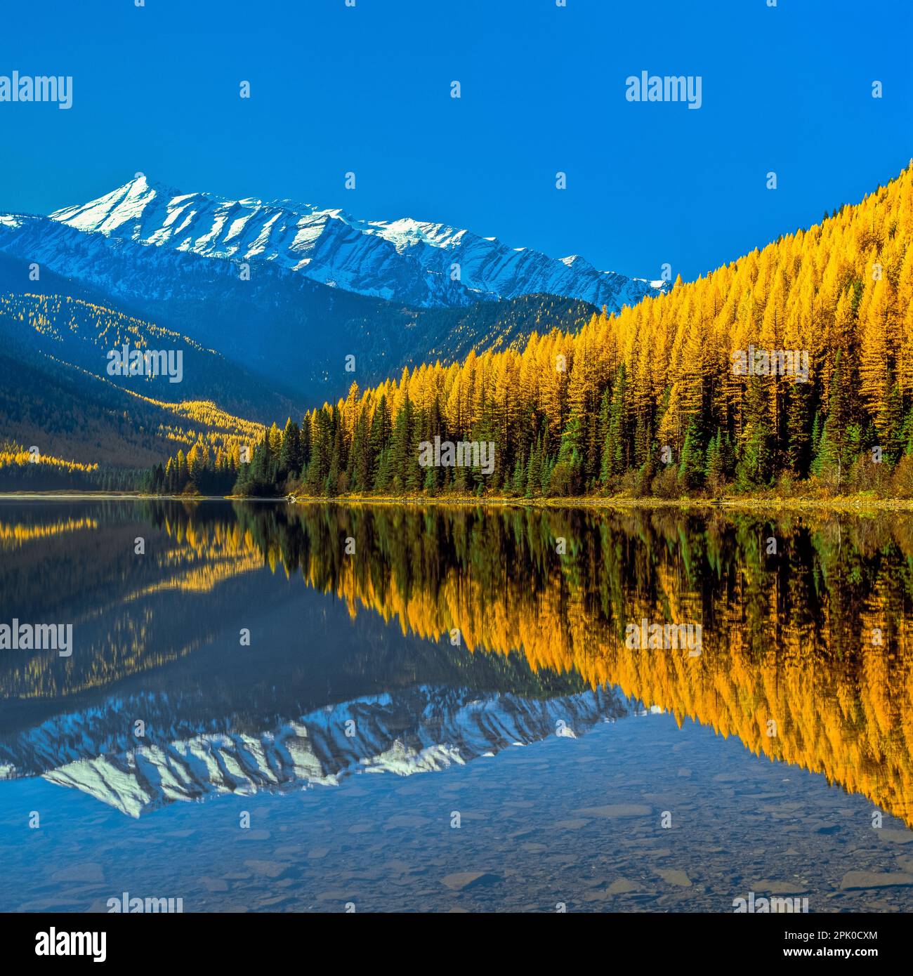 Stanton See und Herbst Lärche unter großen nördlichen Berg in der große Bär-Wüste in der Nähe von West Glacier, montana Stockfoto