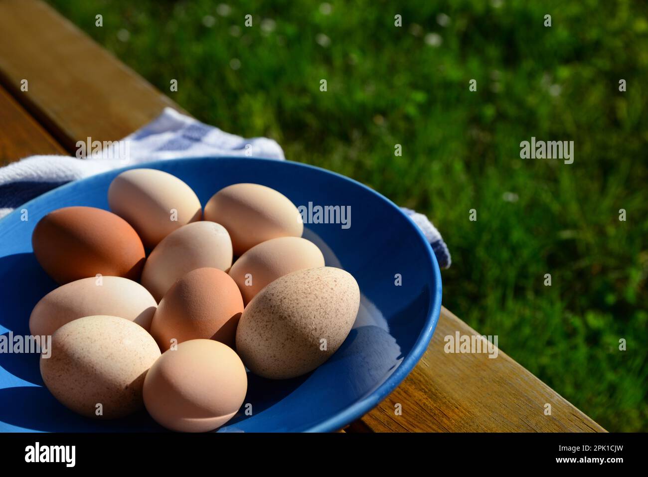 Teller mit verschiedenen Eiern und Servietten auf einem Holztisch im Freien. Platz für Text Stockfoto