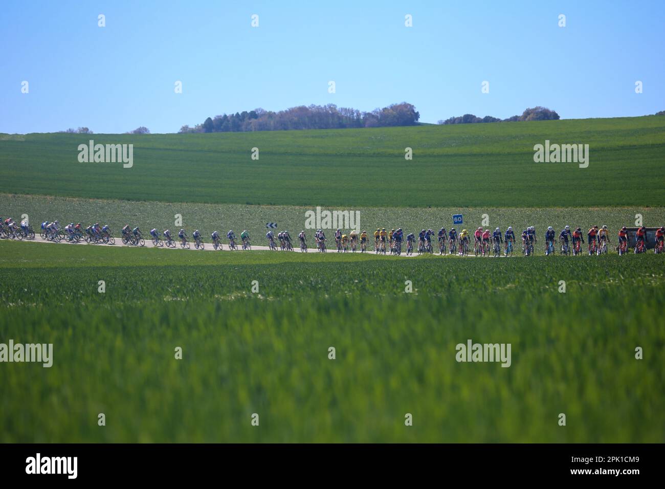 Ariski, Navarra, Spanien. 4. April 2023. Zabal, Spanien, 04. April 2023: Das wichtigste Peloton in einem einzigen Dossier während der 2. Stufe des Baskenlandes Itzulia 2023 zwischen Viana und Leitza am 04. April 2023 in Zabal, Spanien. (Kreditbild: © Alberto Brevers/Pacific Press via ZUMA Press Wire) NUR ZUR REDAKTIONELLEN VERWENDUNG! Nicht für den kommerziellen GEBRAUCH! Stockfoto