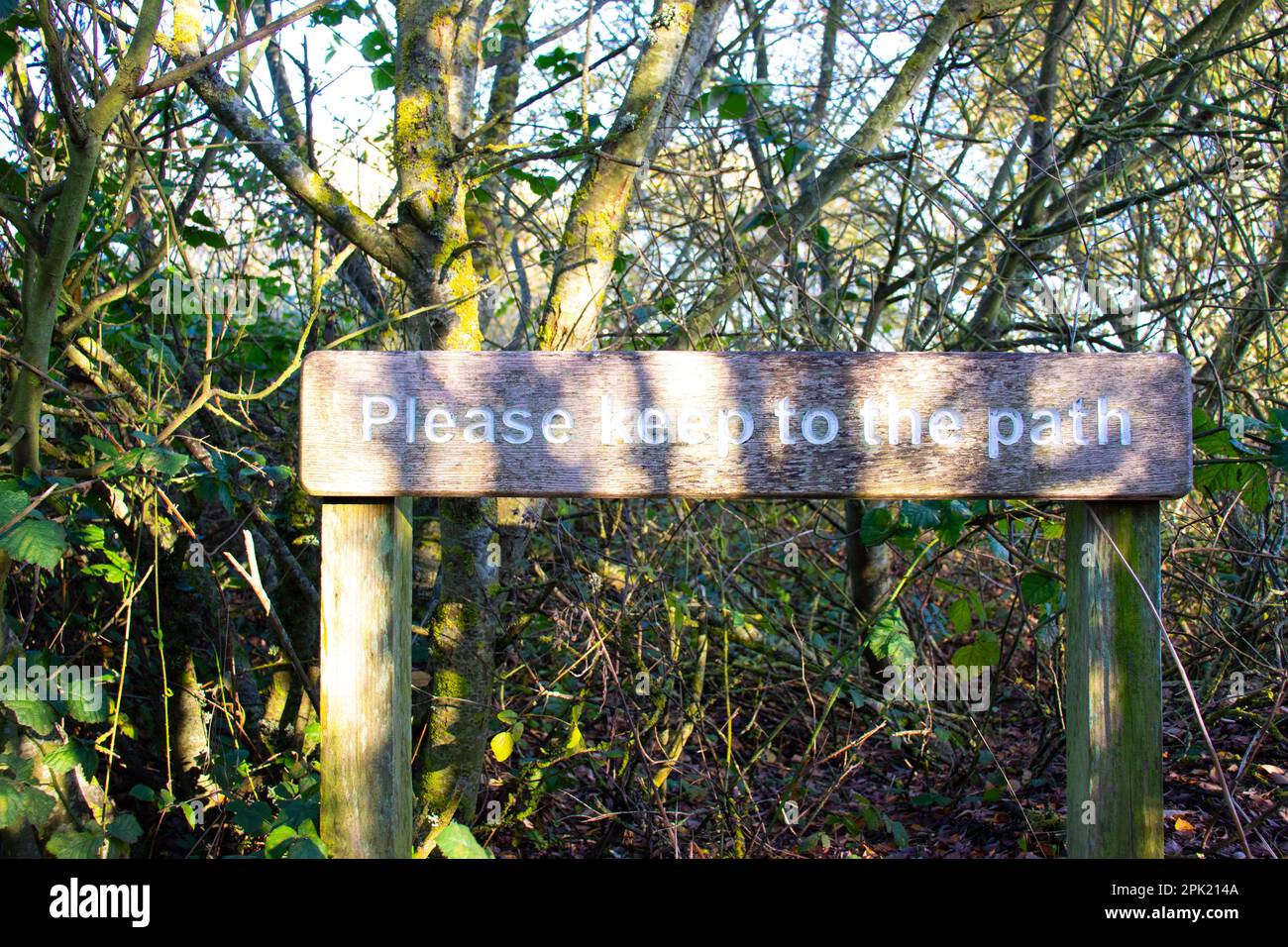 Ein rustikales Holzschild in einem Wald mit der Aufschrift „Bitte halten Sie sich am Pfad“. Unter Sonnenlicht und Schatten. Stockfoto