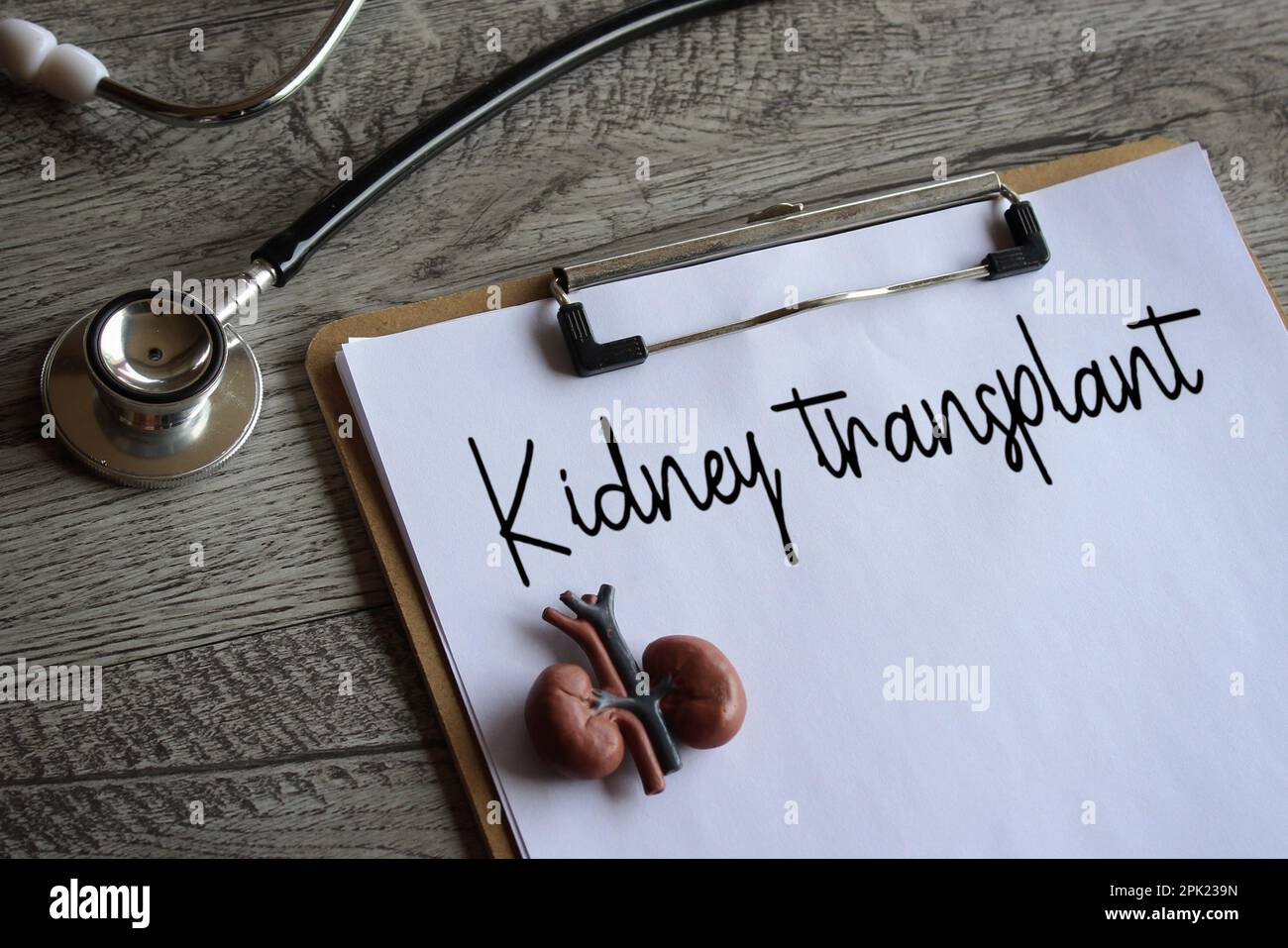 Nierenmodell, Stethoskop und Schreibbrett mit Text-NIERENTRANSPLANTAT. Medizin- und Gesundheitskonzept Stockfoto