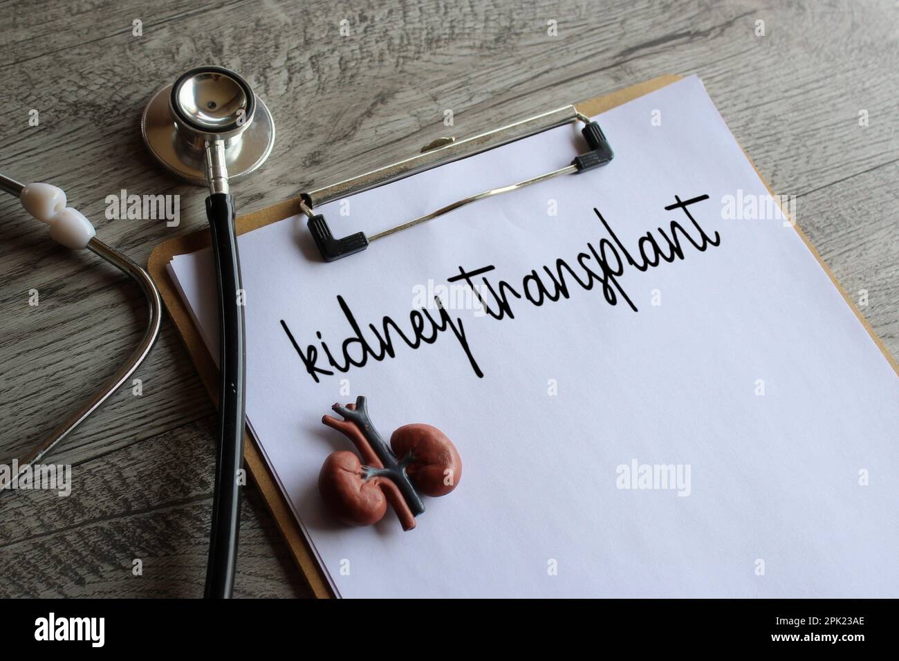 Nierenmodell, Stethoskop und Schreibbrett mit Text-NIERENTRANSPLANTAT. Medizin- und Gesundheitskonzept Stockfoto