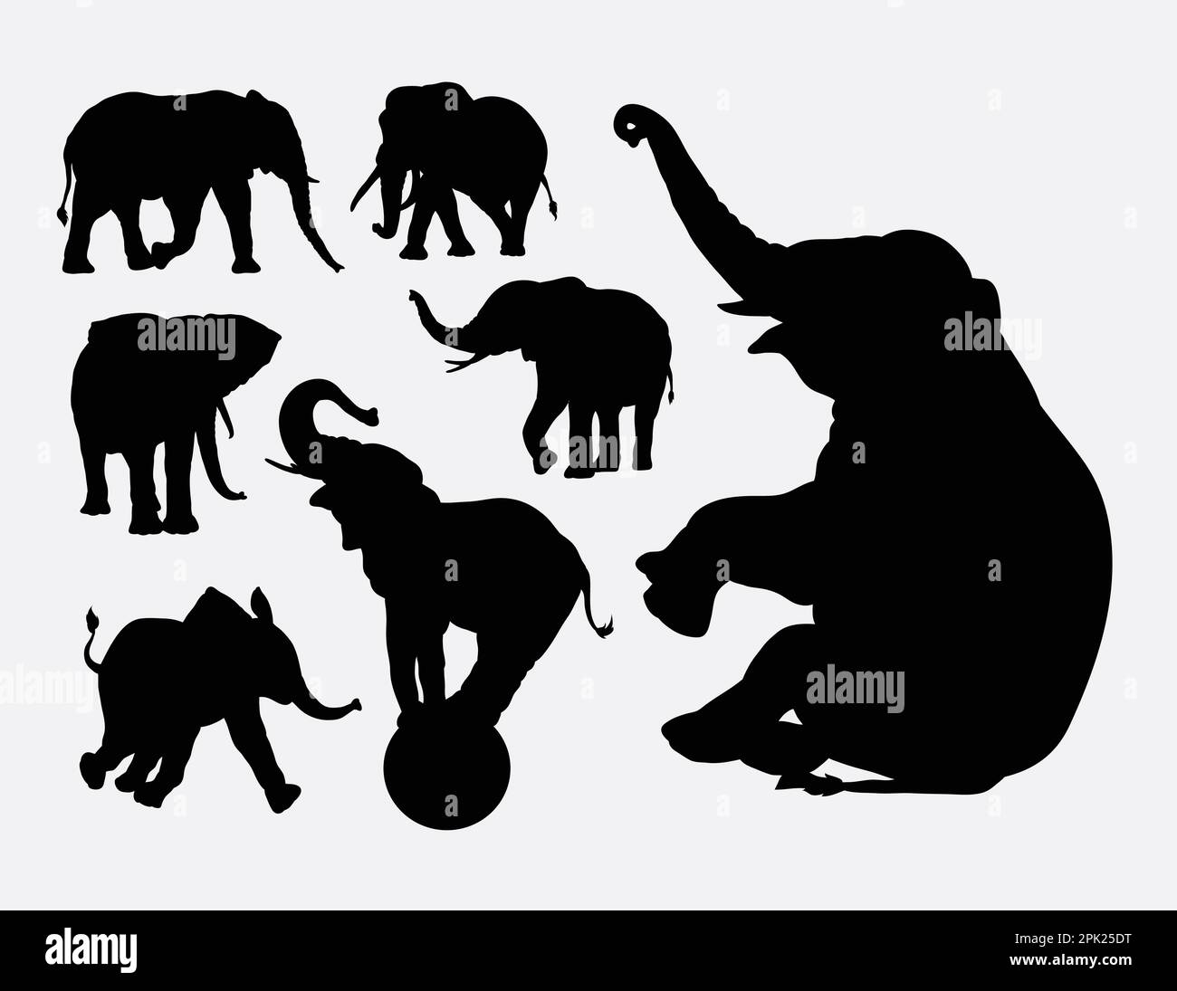 Elefantentier-Silhouetten Stock Vektor