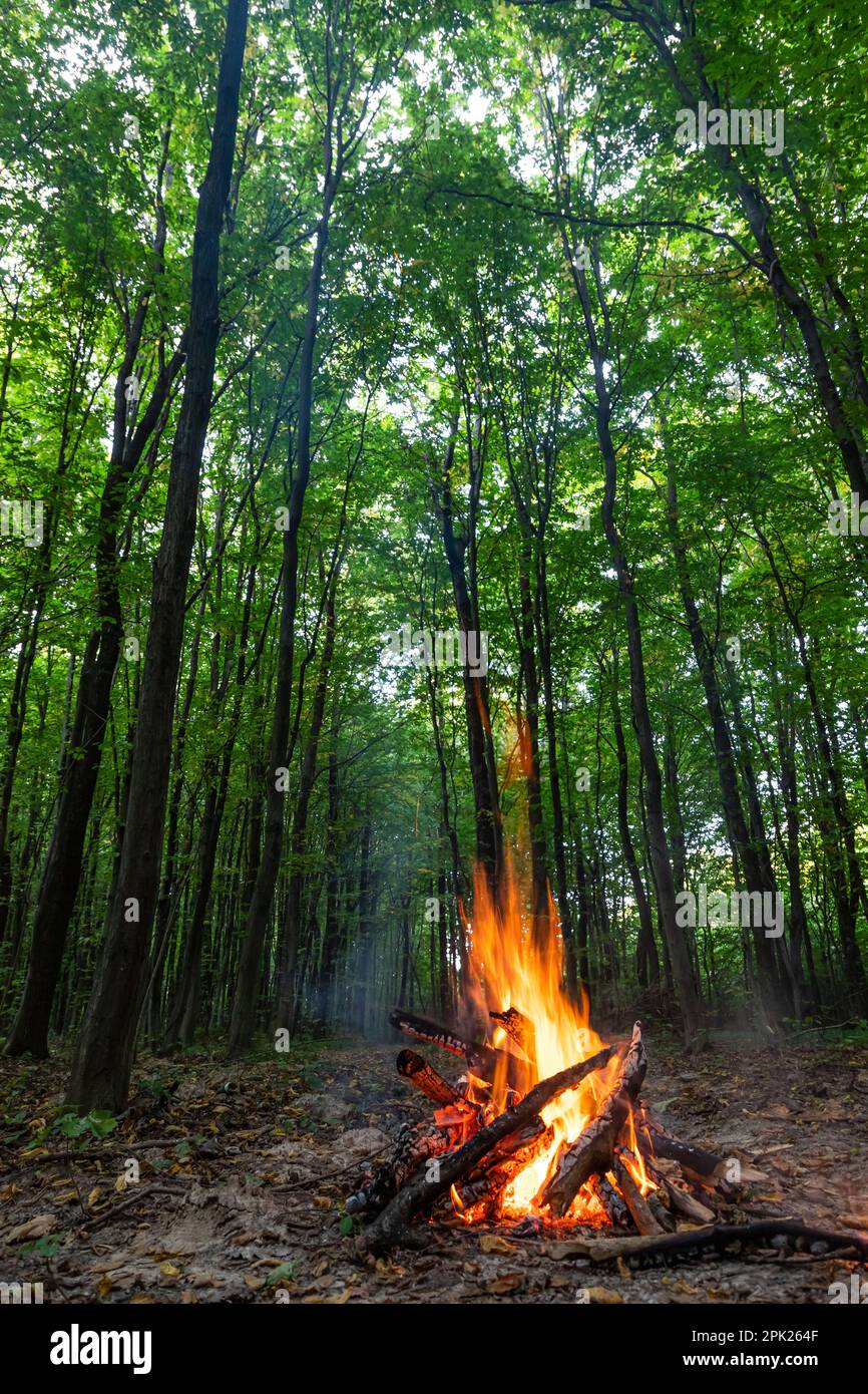 Brennendes Feuer. Der Brand brennt im Wald. Struktur des brennenden Feuers. Lagerfeuer zum Kochen im Wald. Brennende trockene Äste. Touristenbrand im F. Stockfoto